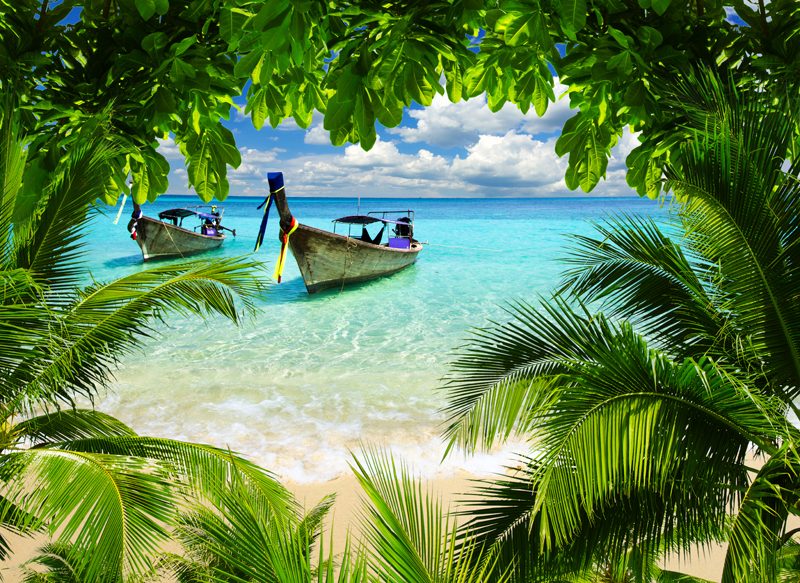 beautiful beach and tropical sea